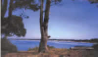 Vista Solis